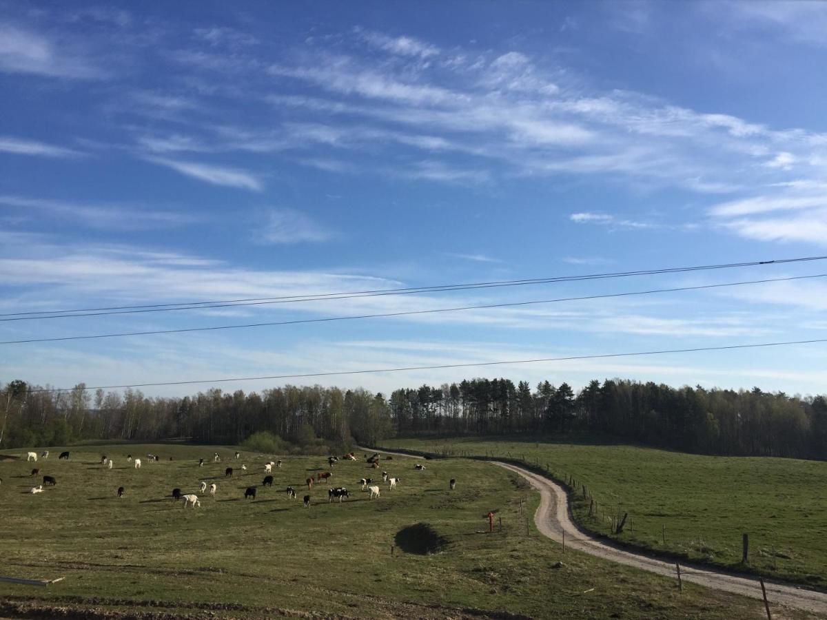 Фермерские дома Zacisze przy lesie Рын