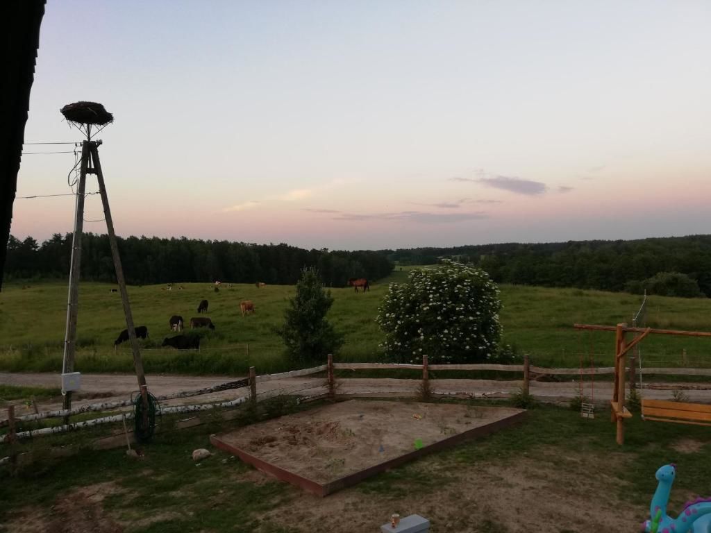 Фермерские дома Zacisze przy lesie Рын