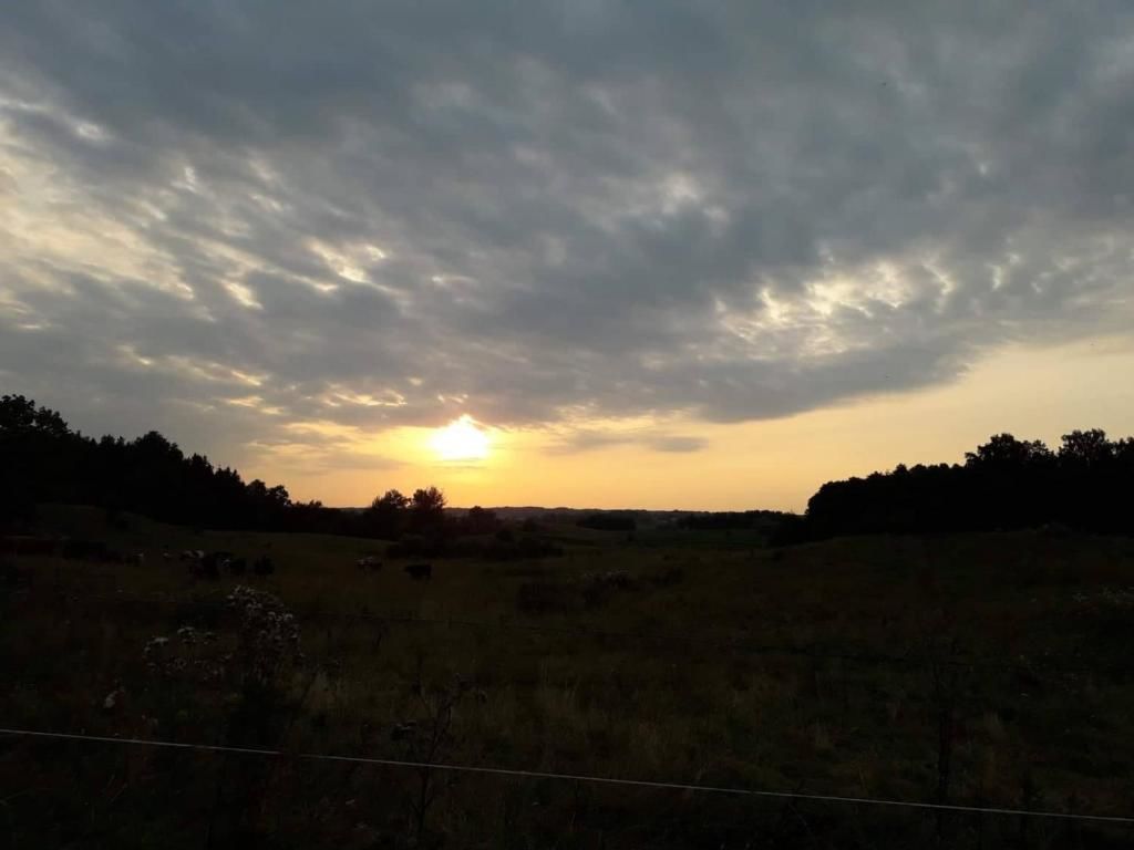 Фермерские дома Zacisze przy lesie Рын